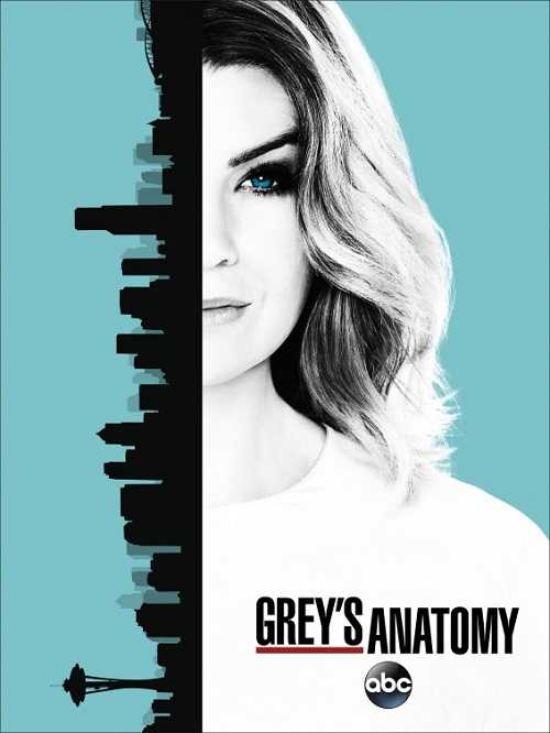 مسلسل Grey’s Anatomy الموسم 13 الحلقة 22