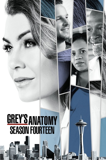 مسلسل Grey’s Anatomy الموسم 14 مترجم كامل