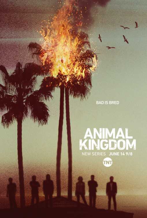 مسلسل Animal Kingdom الموسم الاول الحلقة 3