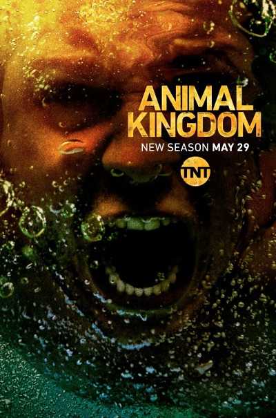 مسلسل Animal Kingdom الموسم الثالث الحلقة 5