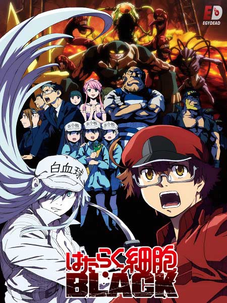 انمي Hataraku Saibou Black الحلقة 11 مترجمة