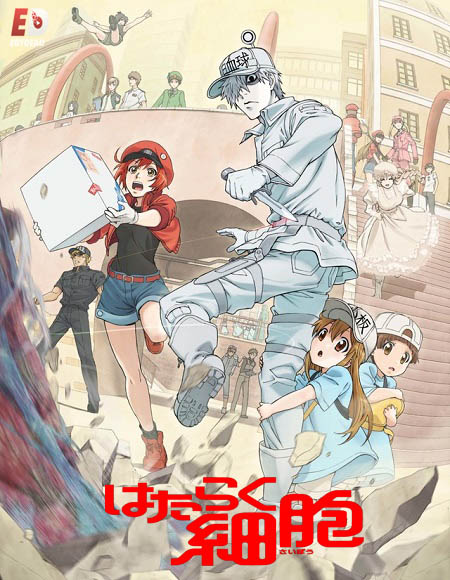 انمي Cells at Work الحلقة 6 مترجمة