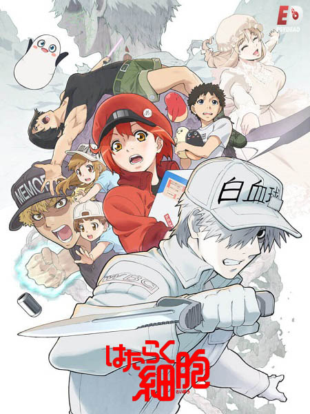 انمي Cells at Work الموسم الثاني الحلقة 2 مترجمة