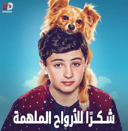 مسلسل The Healing Powers of Dude الحلقة 5 مترجمة