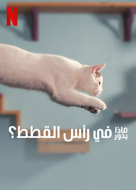 مشاهدة فيلم Inside the Mind of a Cat 2022 مترجم