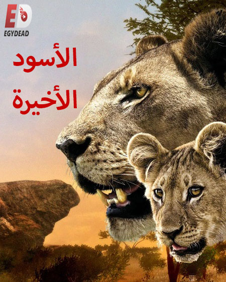 الفيلم الوثائقي الاسود الاخيرة 2011 مدبلج