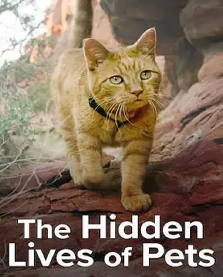 مسلسل The Hidden Lives of Pets الموسم الاول الحلقة 2 مترجمة