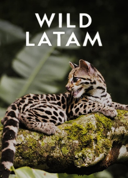 مسلسل Wild Latam الموسم الاول الحلقة 3 مترجمة