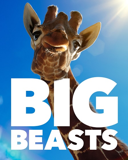 مسلسل Big Beasts الموسم الاول الحلقة 10 مترجمة