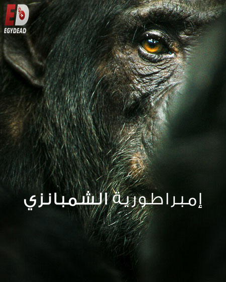 مسلسل Chimp Empire الحلقة 1 مترجمة