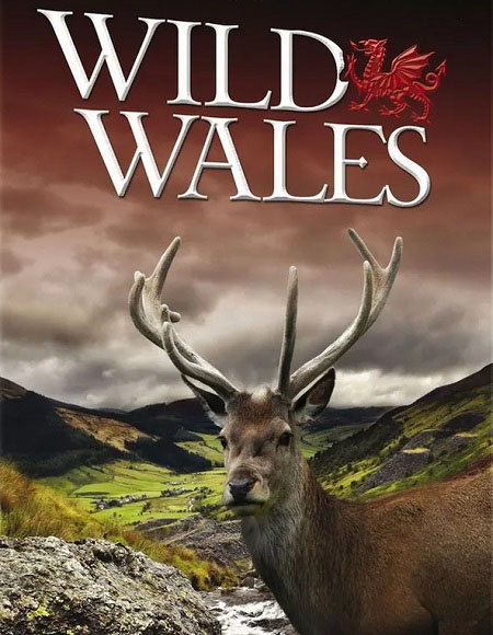 مسلسل Wild Wales 2010 مترجم كامل