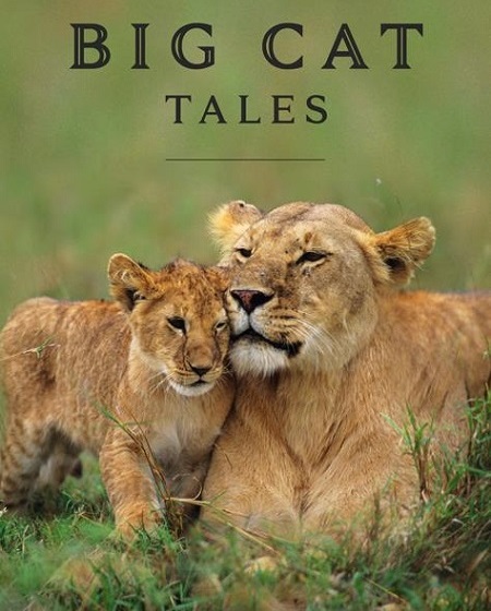 مسلسل Big Cat Tales الموسم الاول الحلقة 3 مترجمة