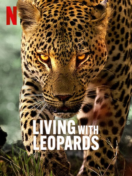 مشاهدة فيلم Living with Leopards 2024 مترجم