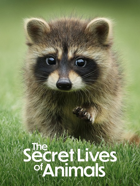 مسلسل The Secret Lives of Animals الموسم الاول الحلقة 10 مترجمة